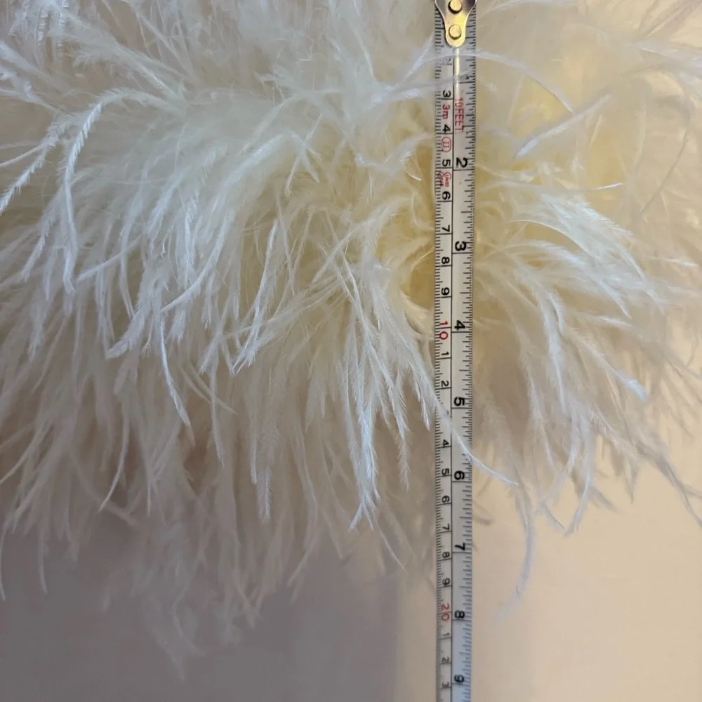 Ronny Kobo Fallen Feathered-Hem Mini Dress – Ivory (XS) - Picture 12 of 12